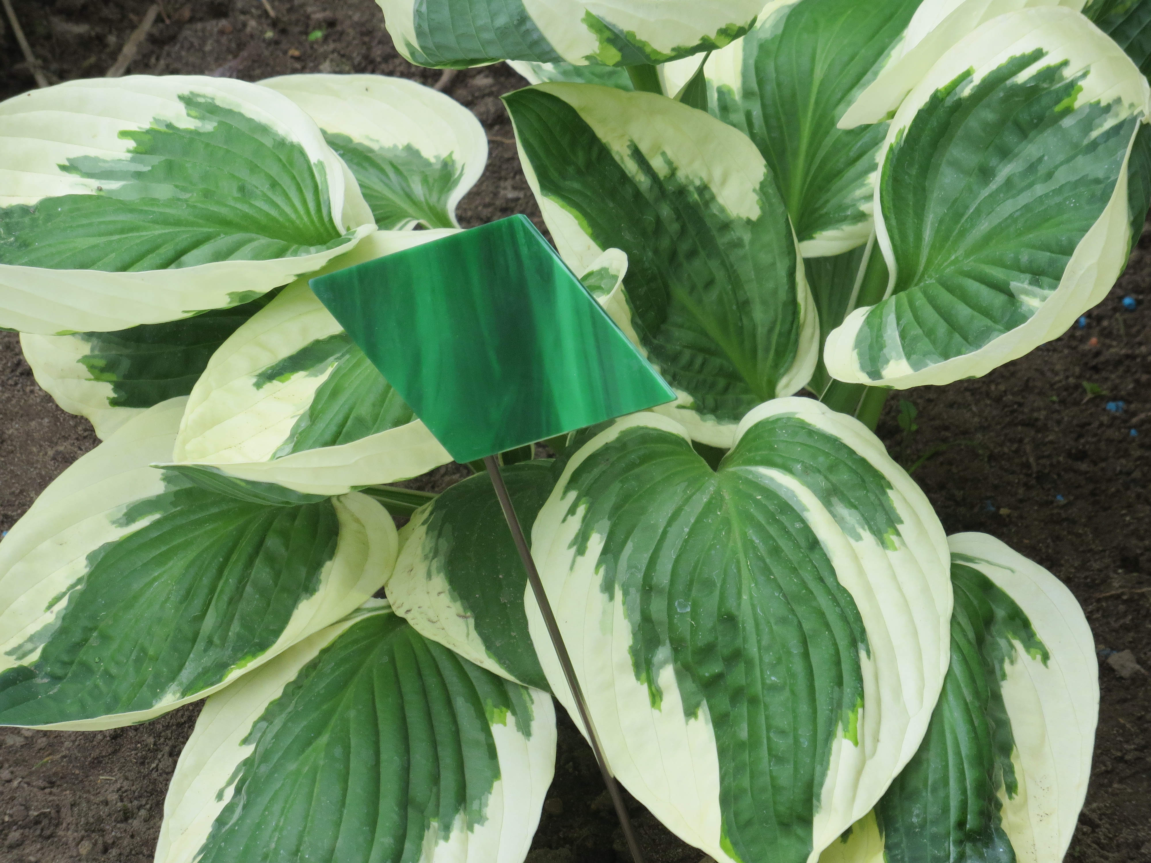 Datei begleiter/begleiter-04.jpg wurde nicht gefunden.