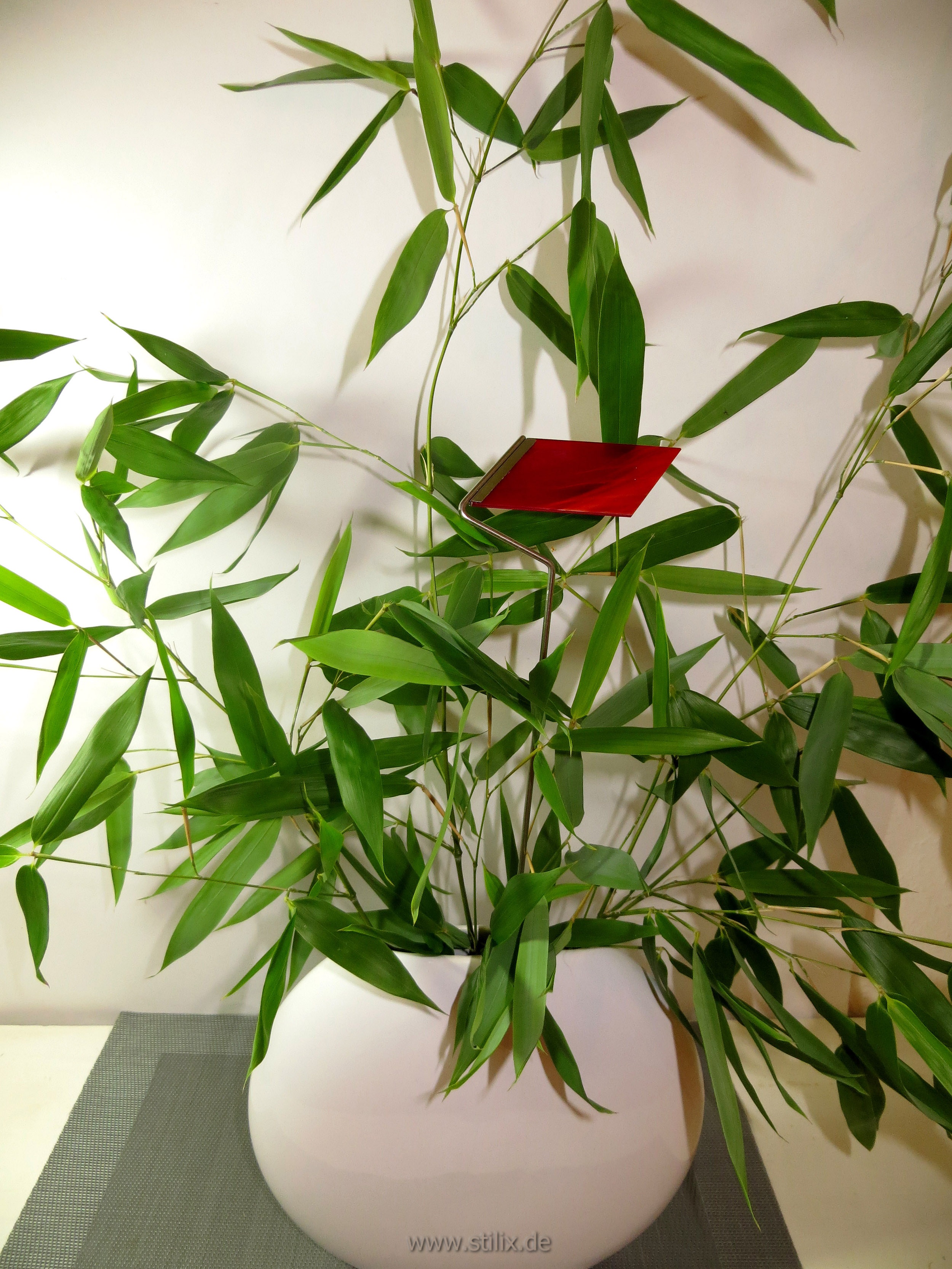 Datei dekoration/dekoration-03.jpg wurde nicht gefunden.