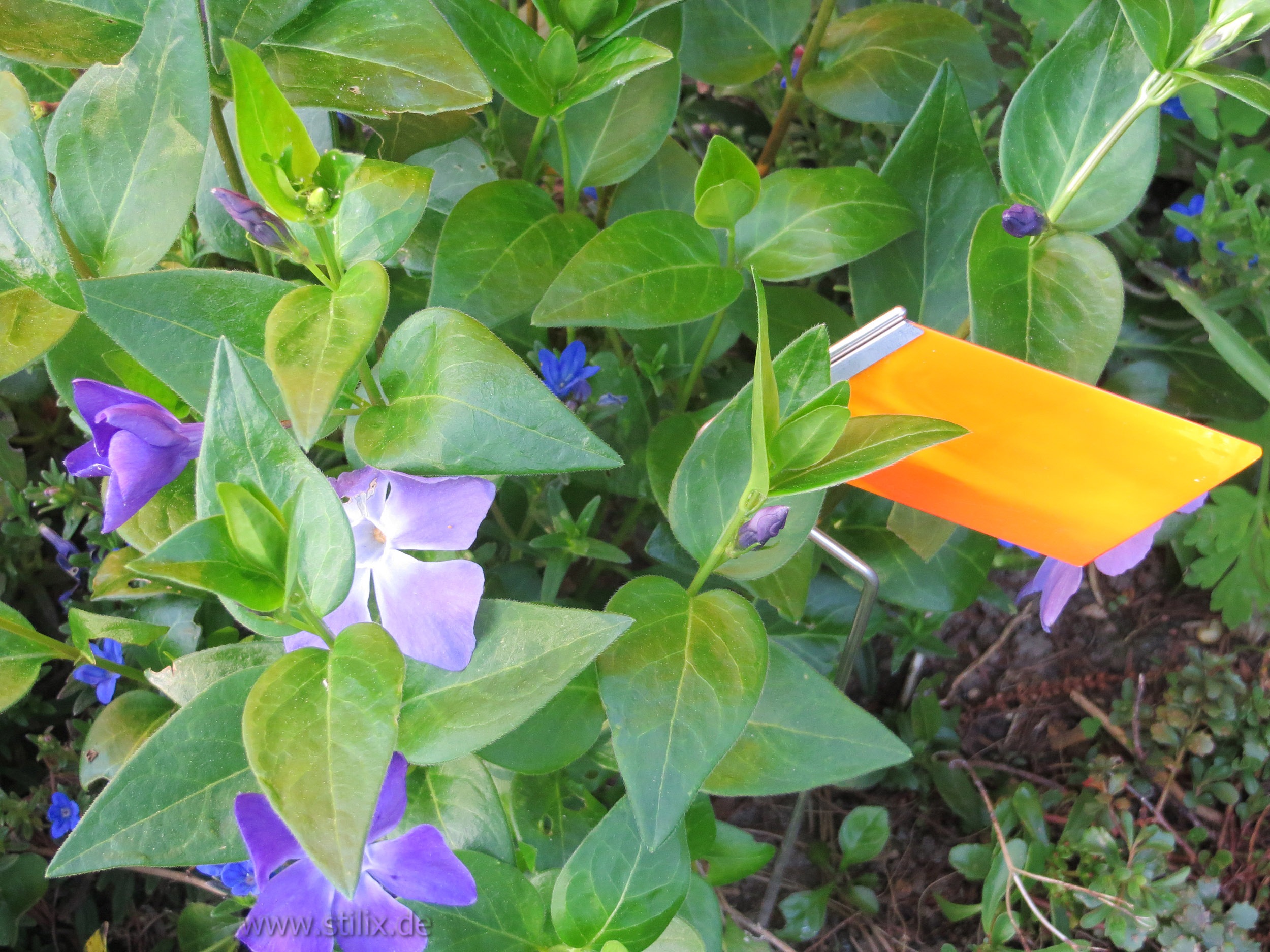 Datei farbtupfer/farbtupfer-03.jpg wurde nicht gefunden.