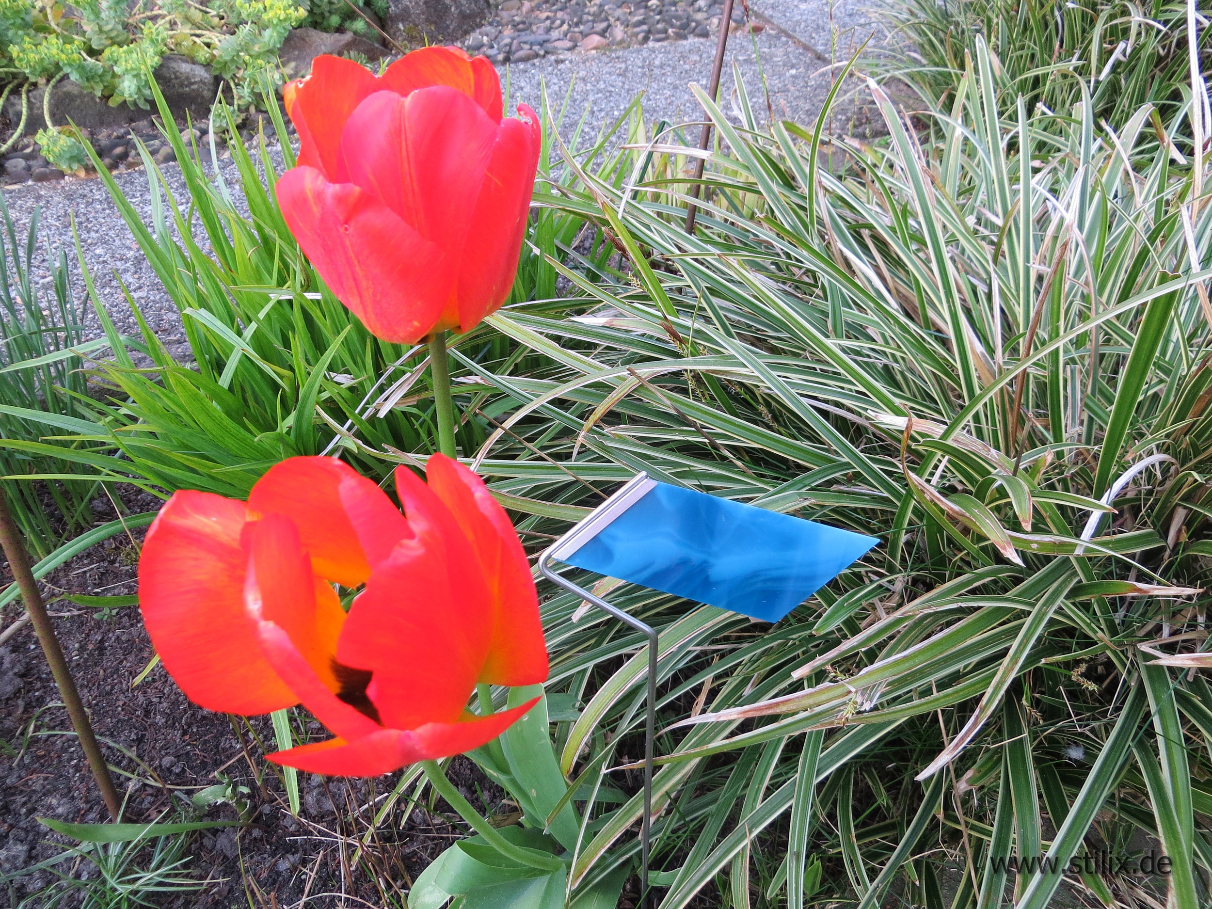 Datei farbtupfer/farbtupfer-04.jpg wurde nicht gefunden.