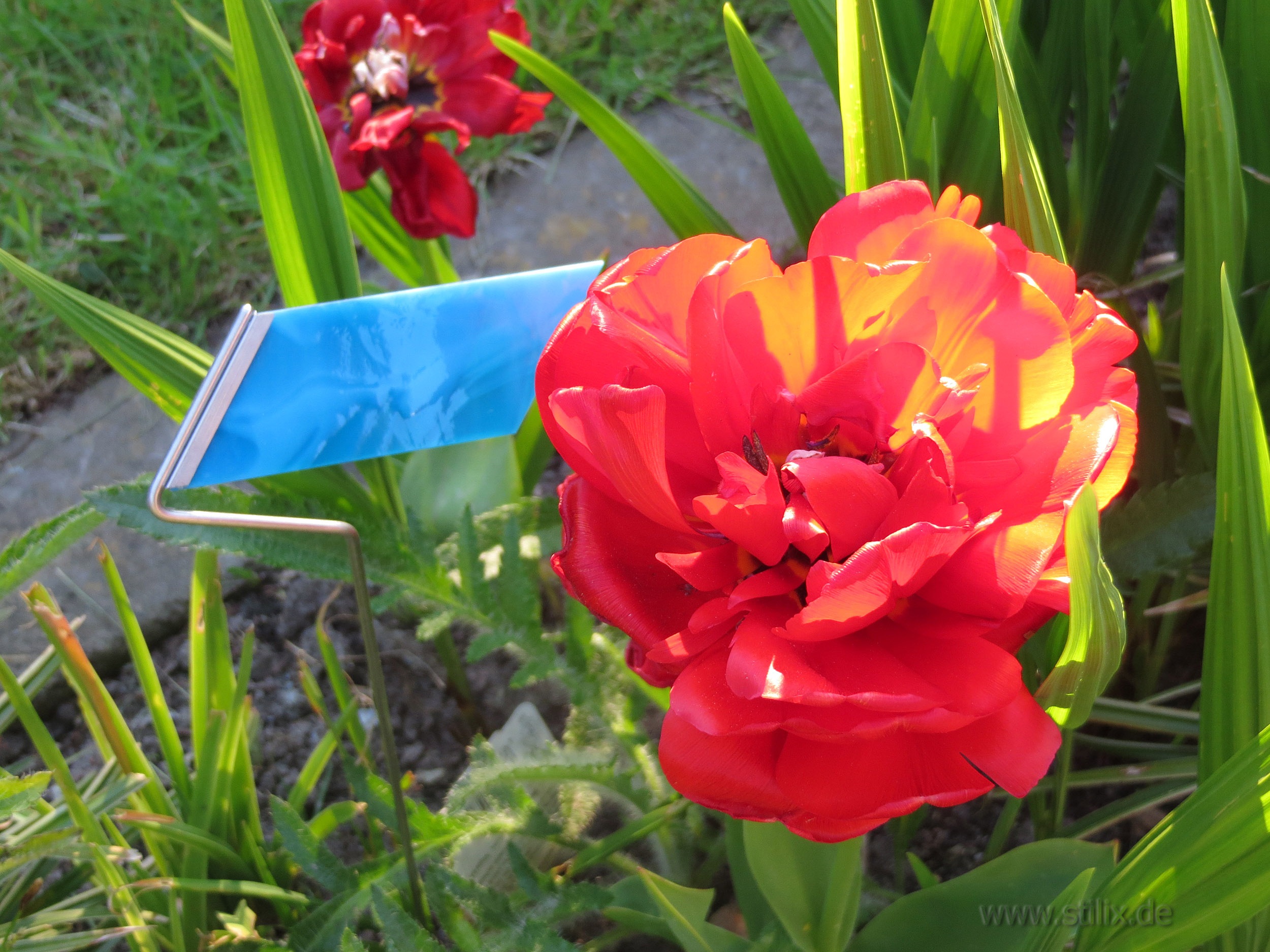 Datei farbtupfer/farbtupfer-05.jpg wurde nicht gefunden.