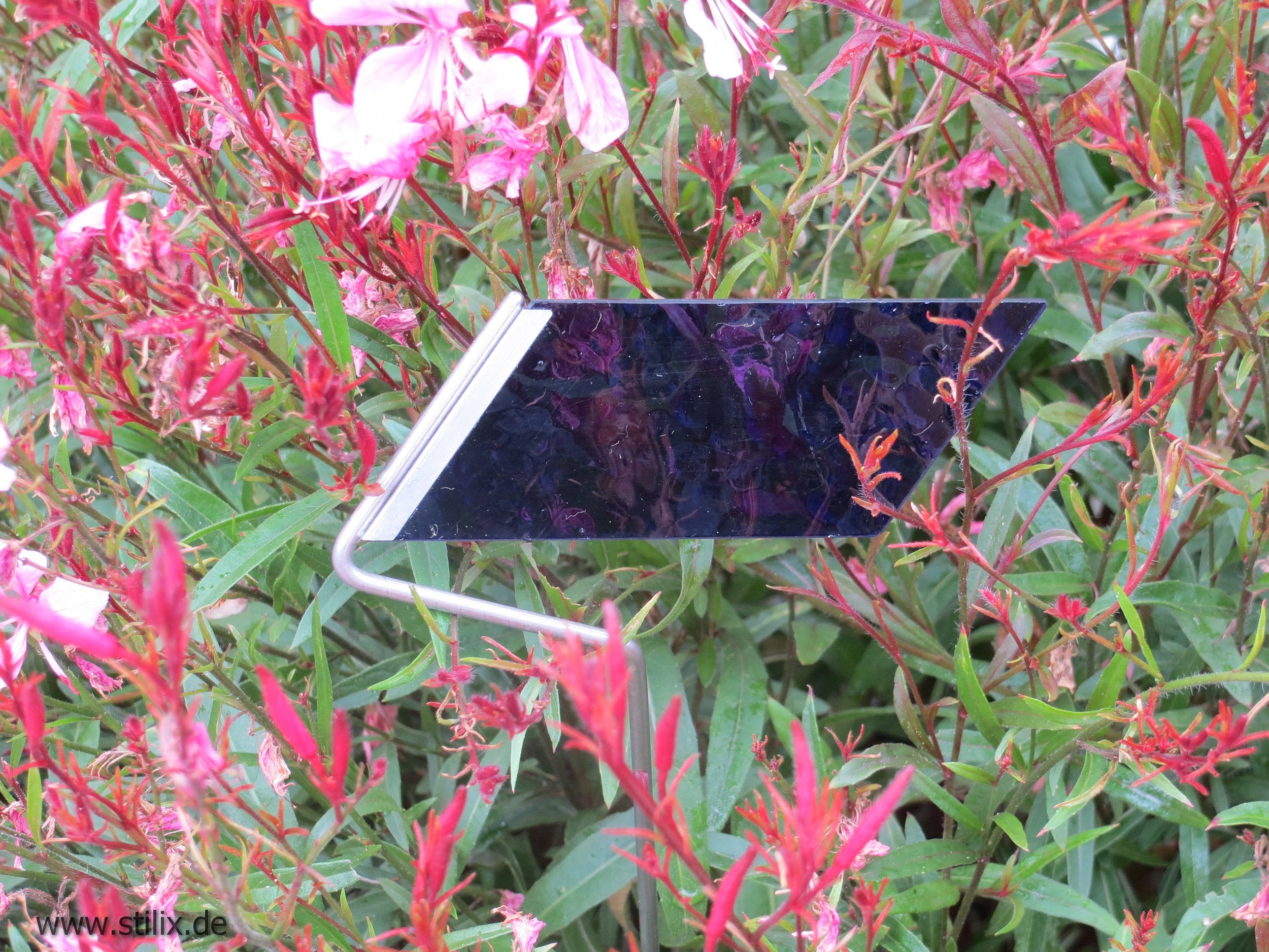 Datei farbtupfer/farbtupfer-07.jpg wurde nicht gefunden.