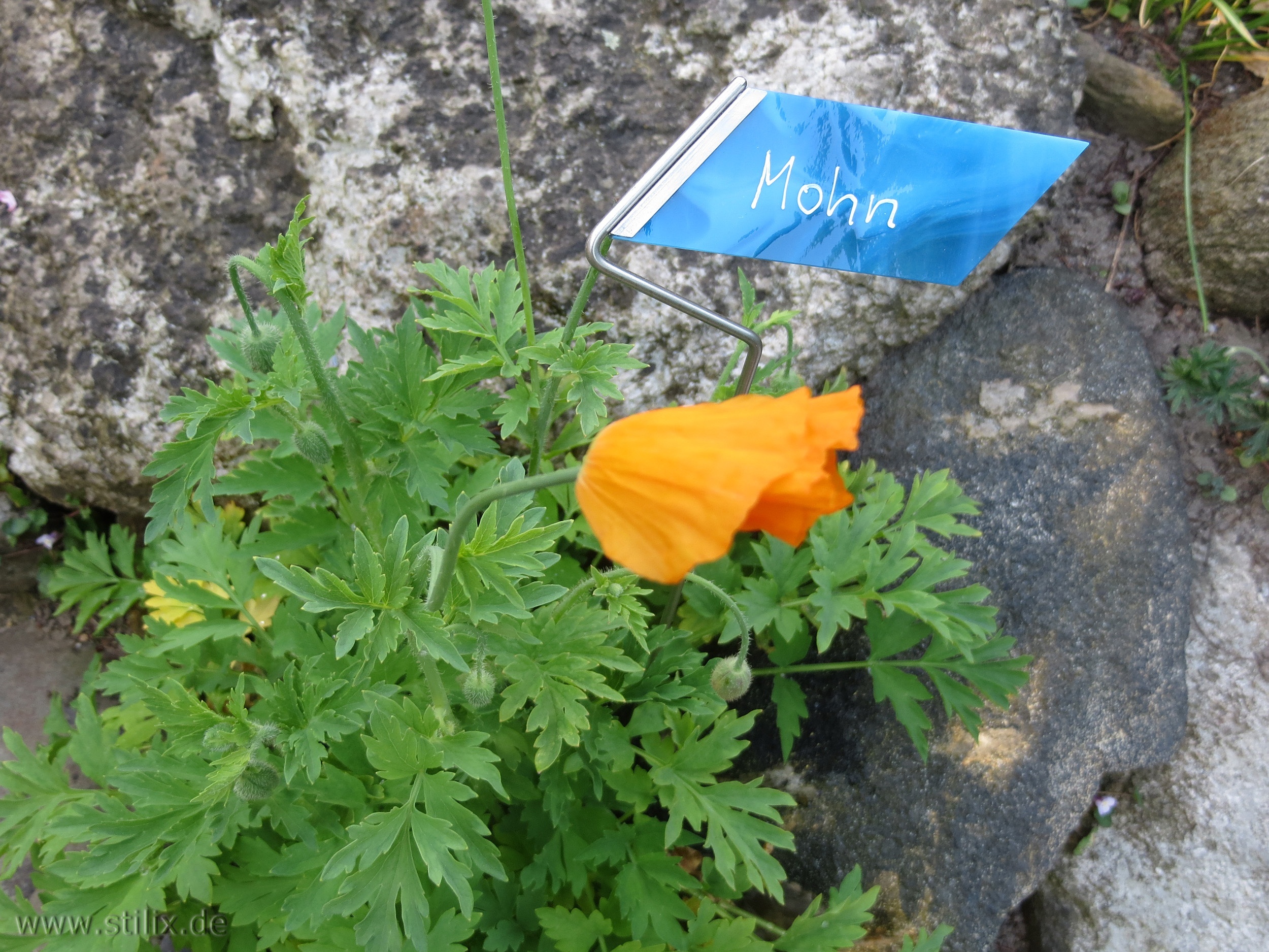 Datei fotos/garten-05.jpg wurde nicht gefunden.