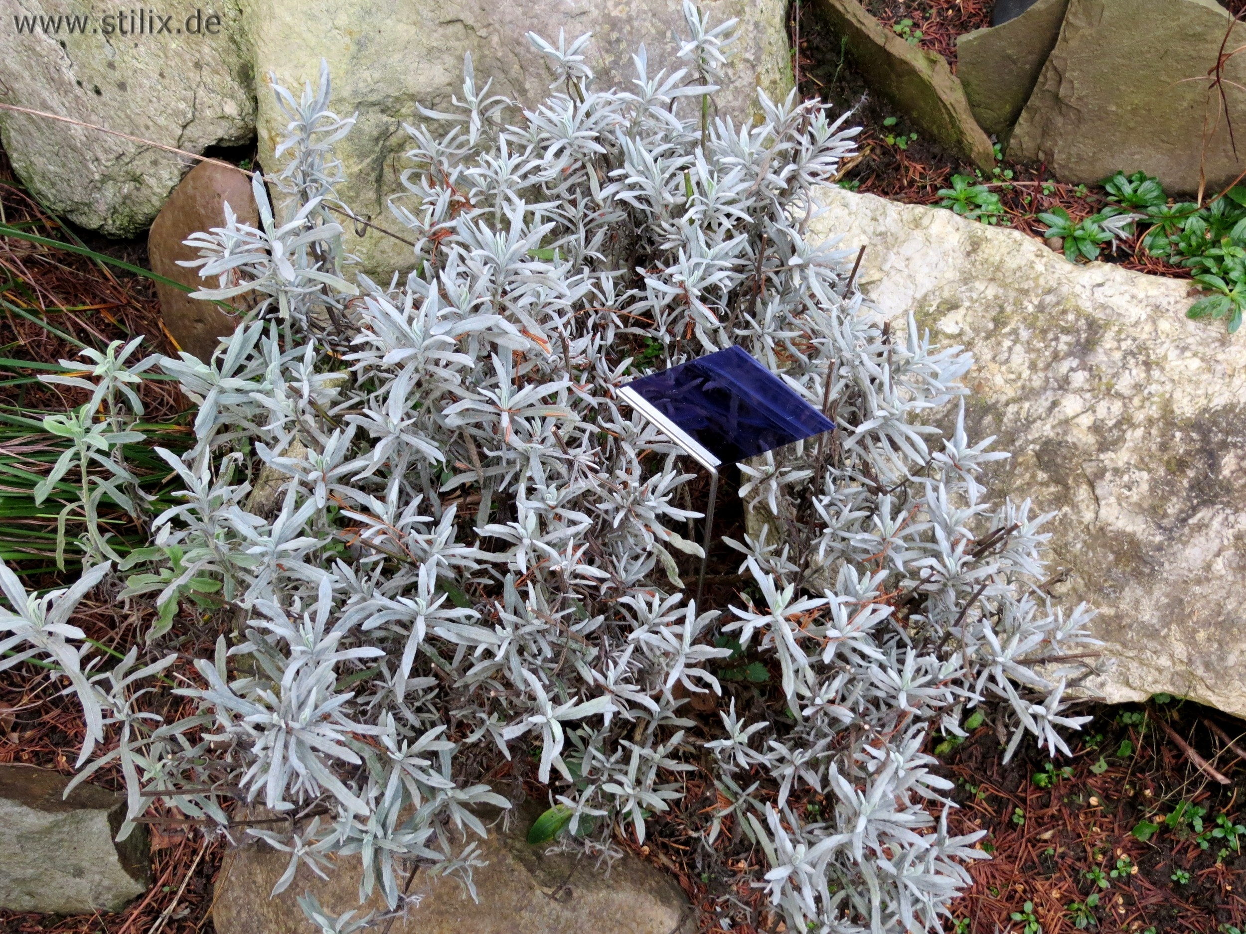 Datei fotos/garten-08.jpg wurde nicht gefunden.