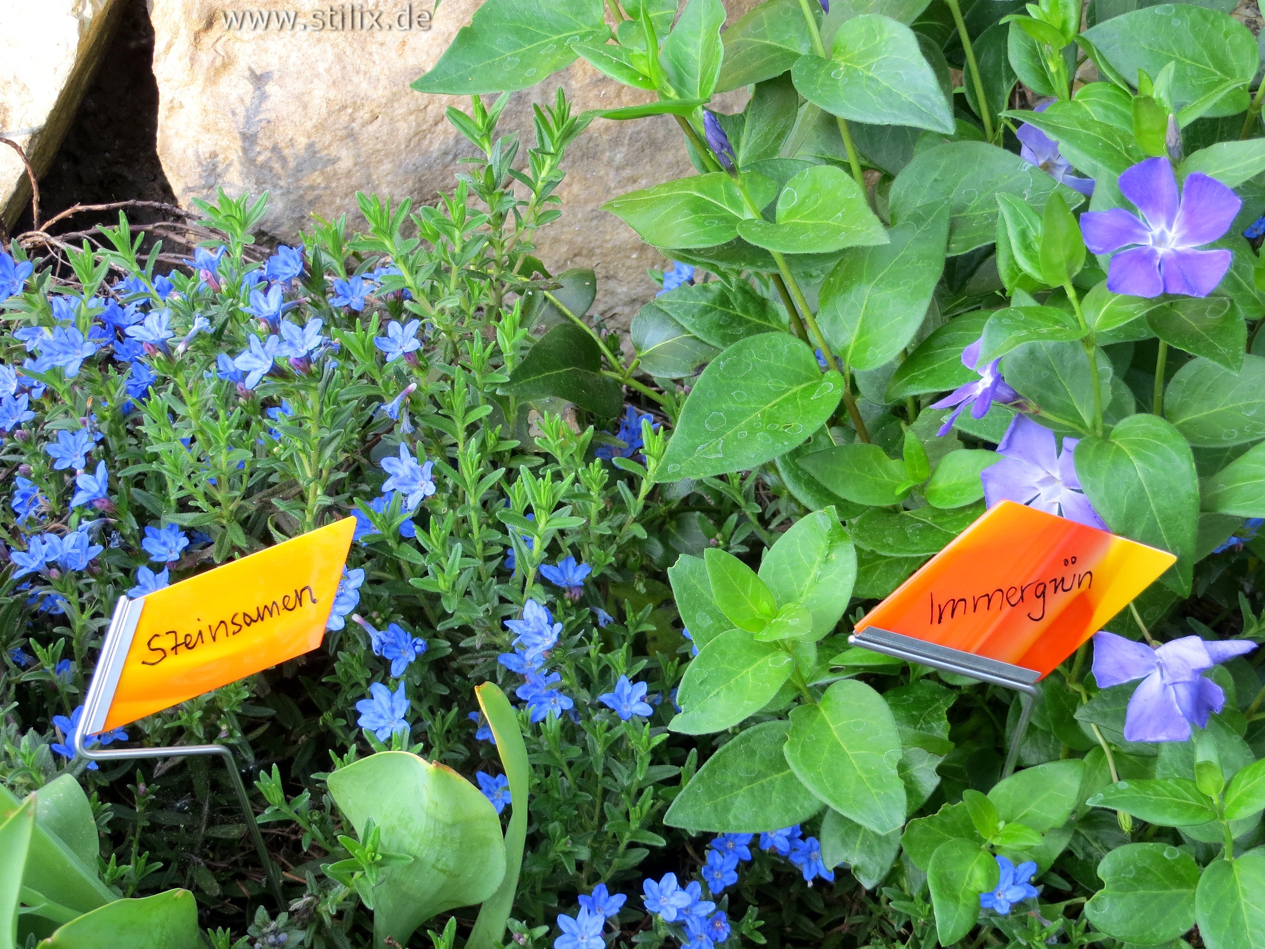 Datei fotos/garten-14.jpg wurde nicht gefunden.