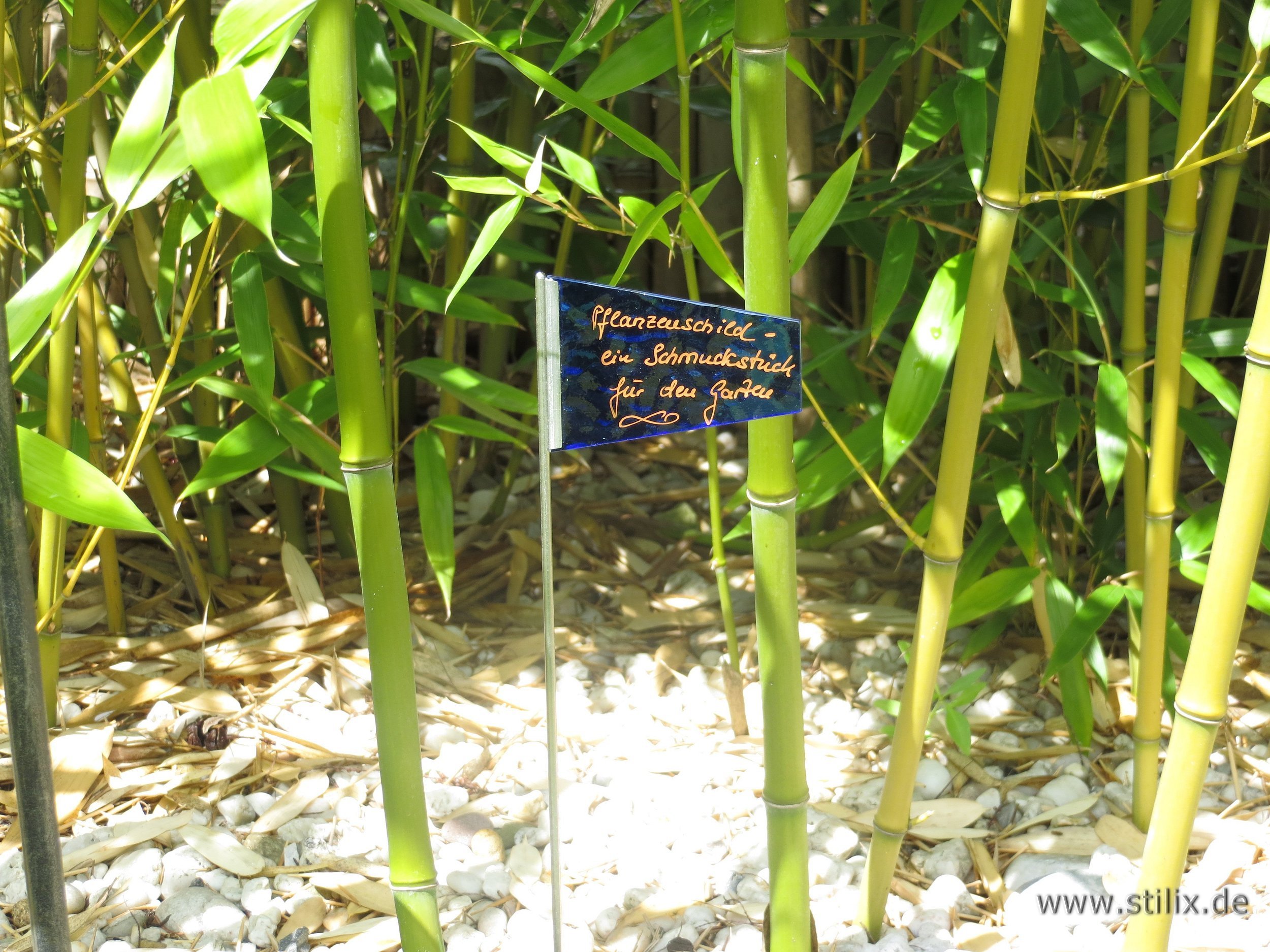 Datei fotos/garten-19.jpg wurde nicht gefunden.