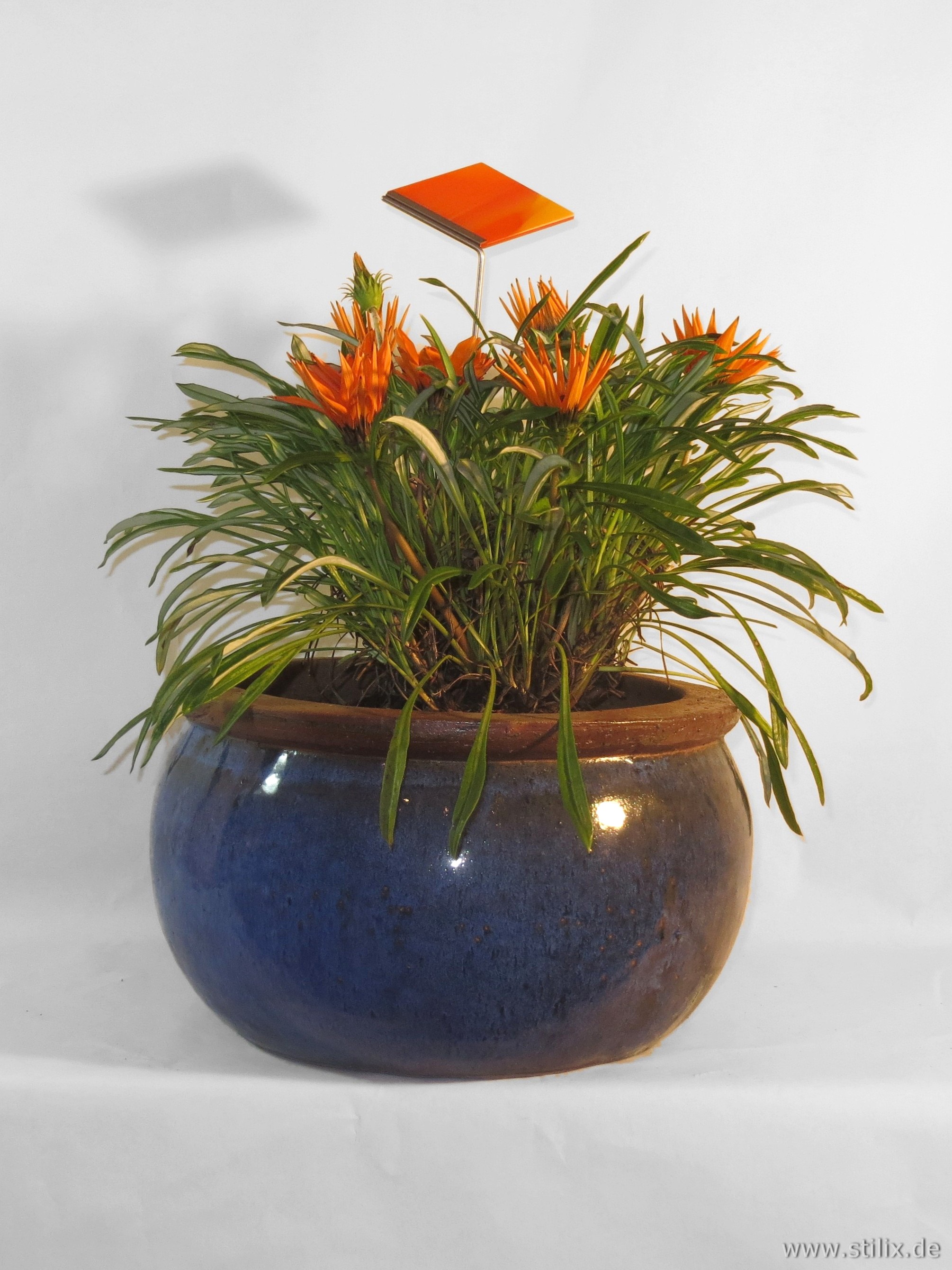 Datei fotos/toepfe-schalen-02.jpg wurde nicht gefunden.