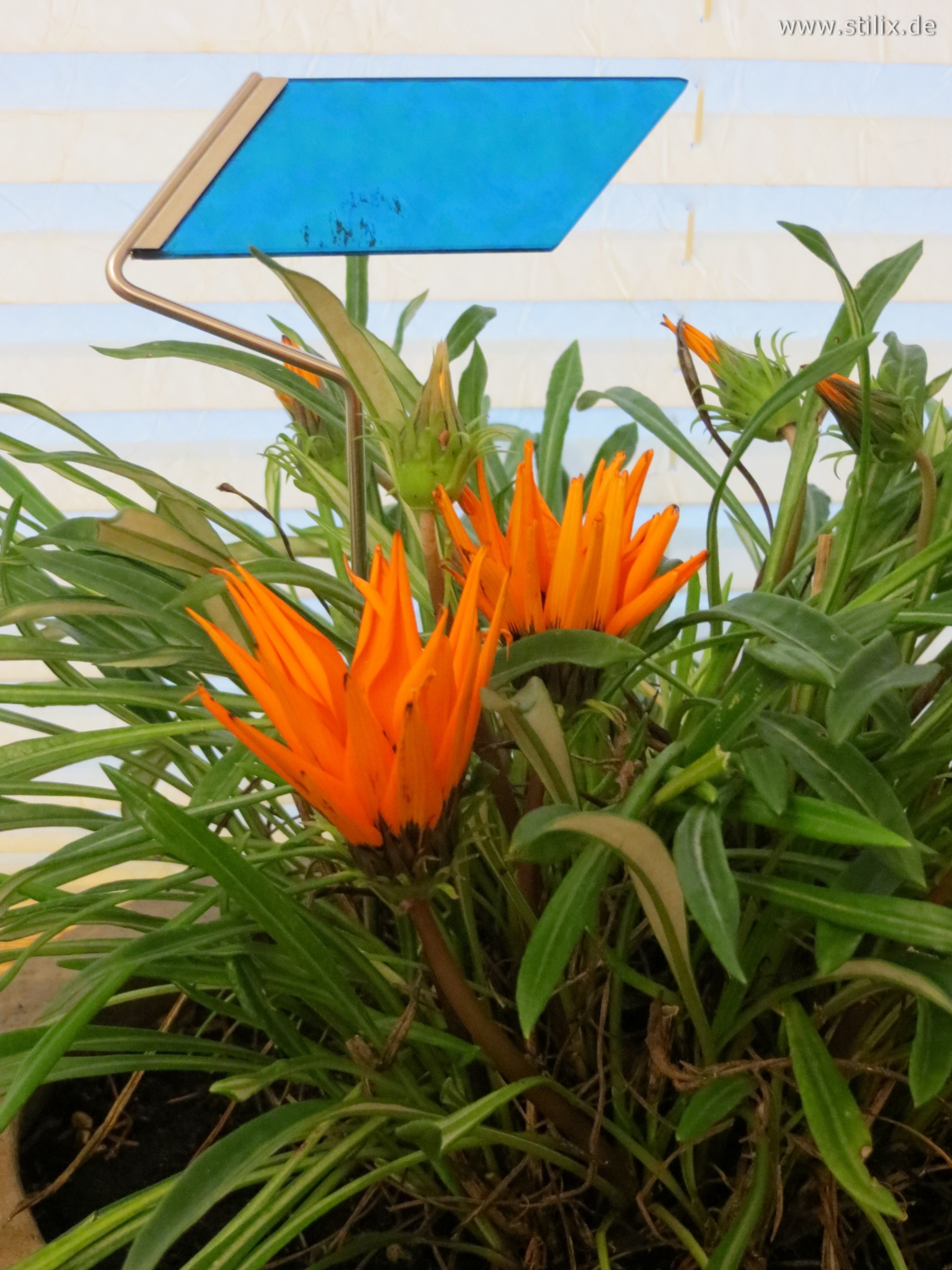 Datei fotos/toepfe-schalen-04.jpg wurde nicht gefunden.