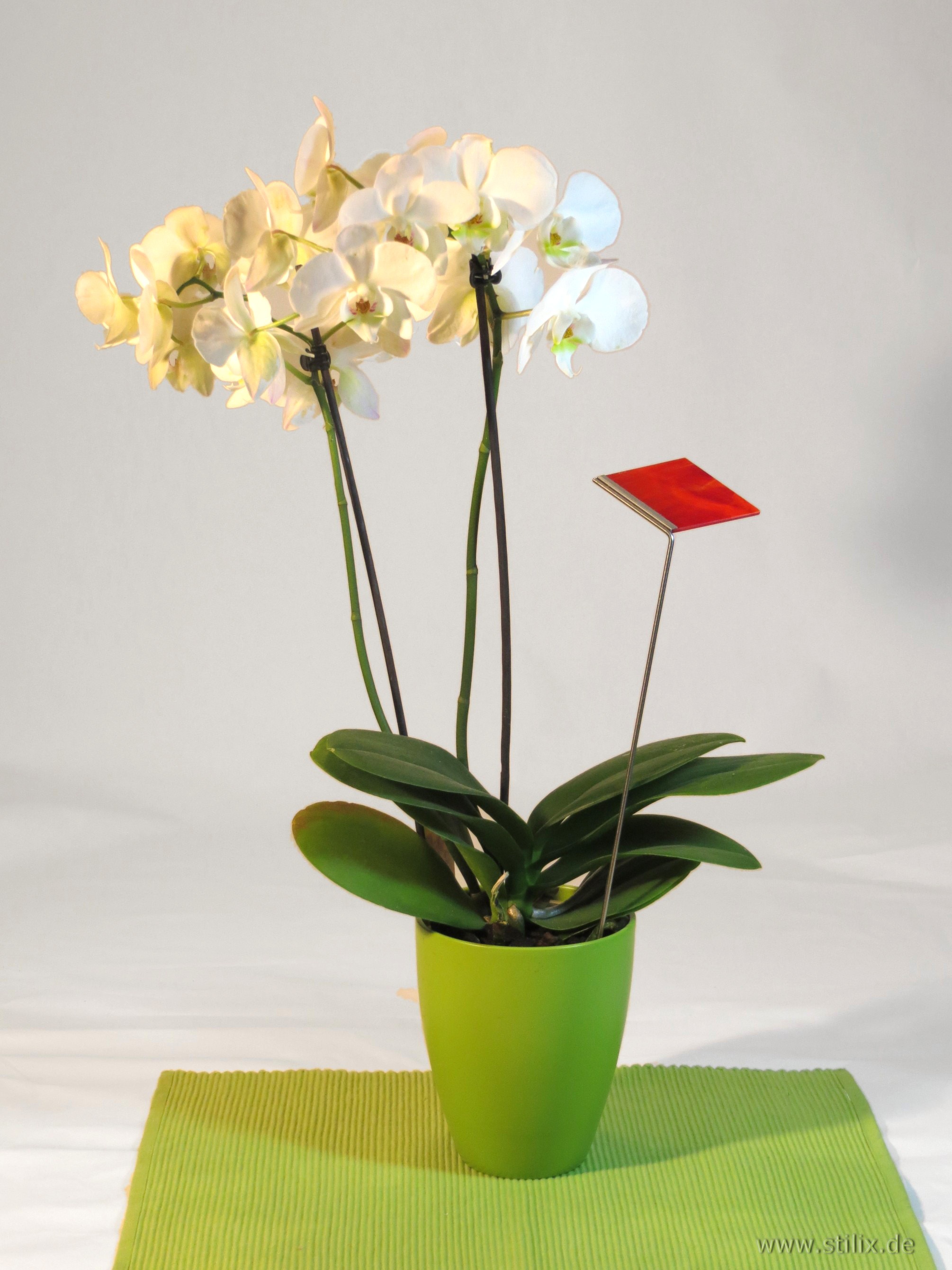 Datei fotos/toepfe-schalen-10.jpg wurde nicht gefunden.