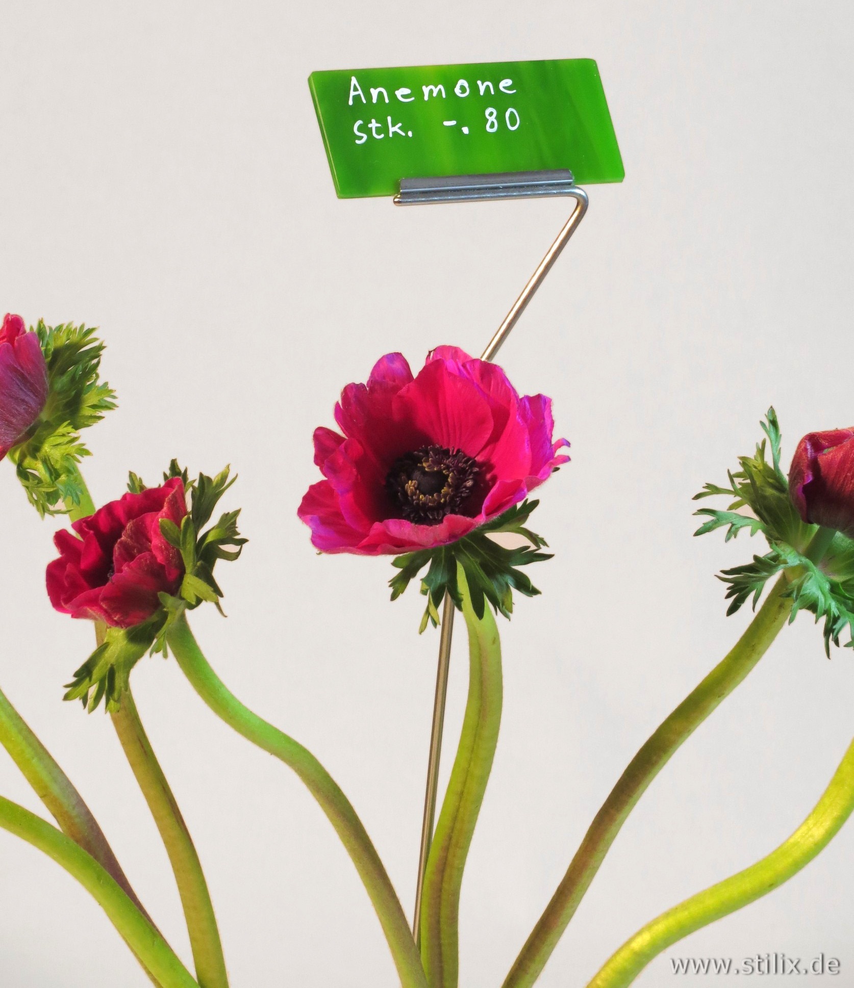 Datei preis-gruss/preis-01.jpg wurde nicht gefunden.