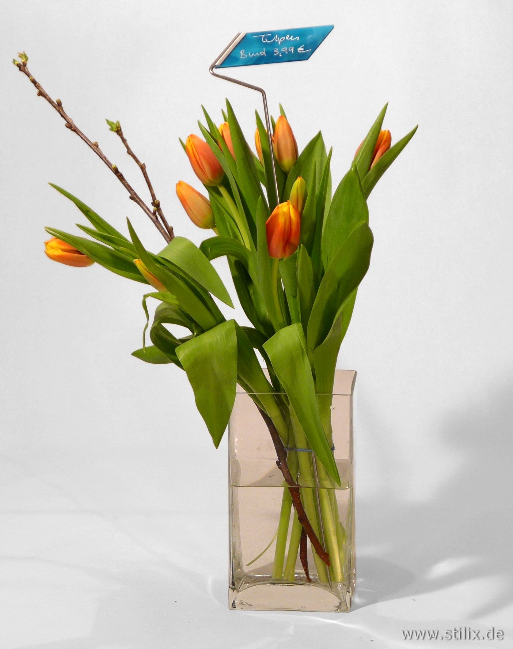 Datei preis-gruss/preis-02.jpg wurde nicht gefunden.