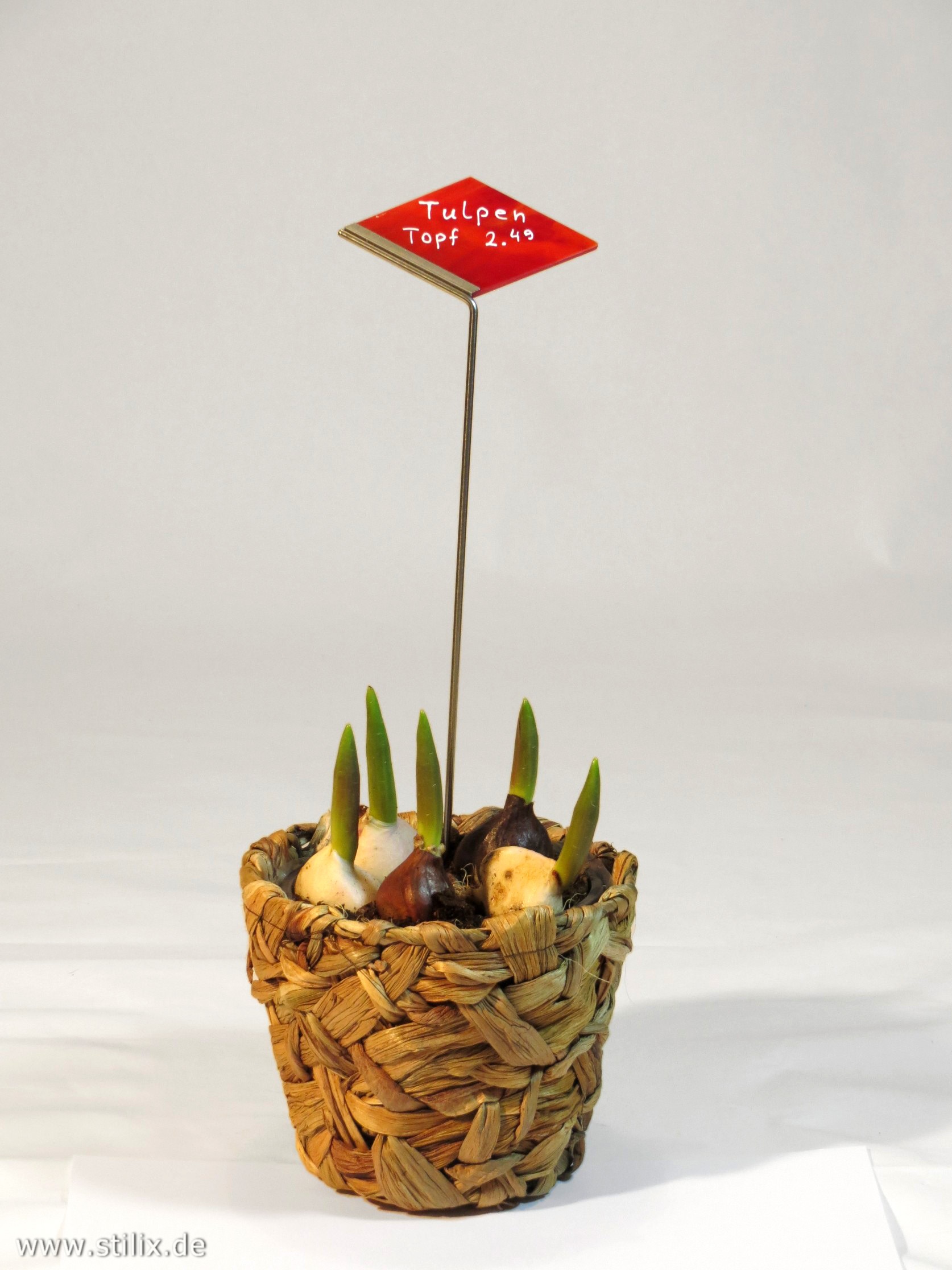 Datei preis-gruss/preis-04.jpg wurde nicht gefunden.