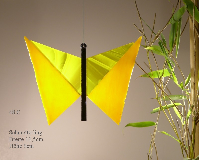 Datei schmetterlinge/250-800-eur.jpg wurde nicht gefunden.