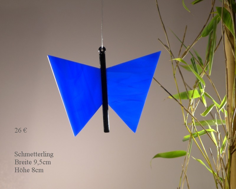 Datei schmetterlinge/270-800-eur.jpg wurde nicht gefunden.